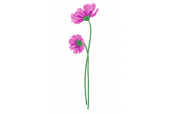 Pink Cosmos Flowers: A Designer’s Review