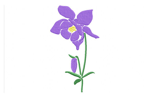 Purple Columbine Flowers: A Designer’s Review